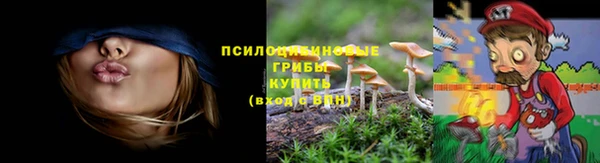 МДПВ Медвежьегорск
