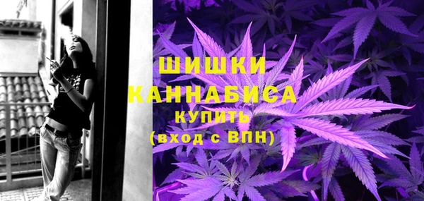 сатива Володарск
