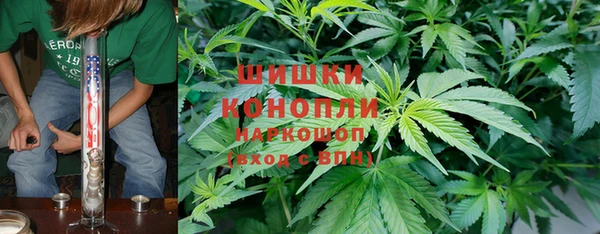сатива Володарск