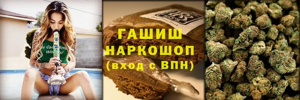 мдпв Верея