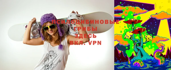 мдпв Верея